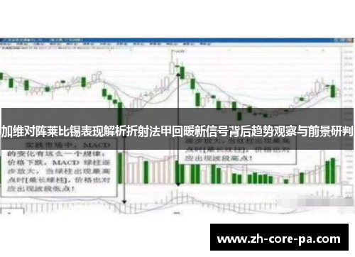 加维对阵莱比锡表现解析折射法甲回暖新信号背后趋势观察与前景研判
