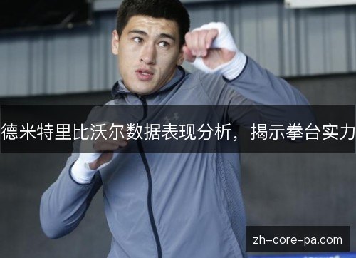 德米特里比沃尔数据表现分析，揭示拳台实力
